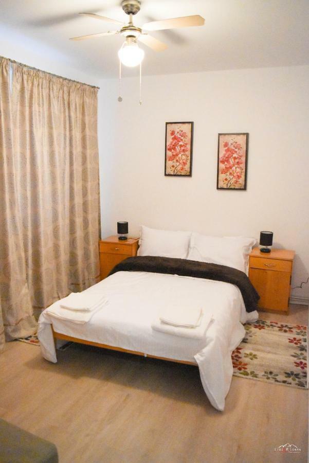 Spacious And Cozy 3Bd+Terrace Couples Apartment Timişoara Buitenkant foto