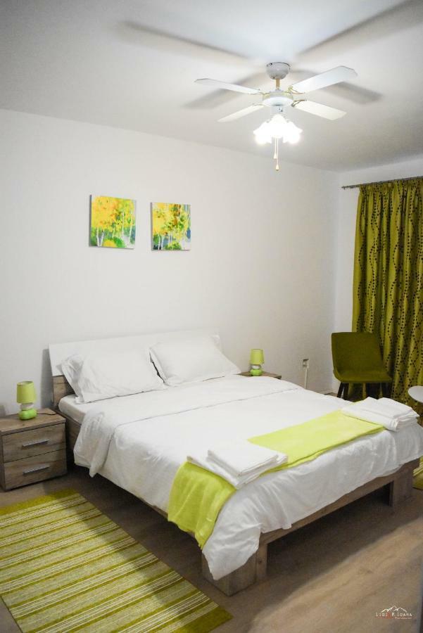 Spacious And Cozy 3Bd+Terrace Couples Apartment Timişoara Buitenkant foto
