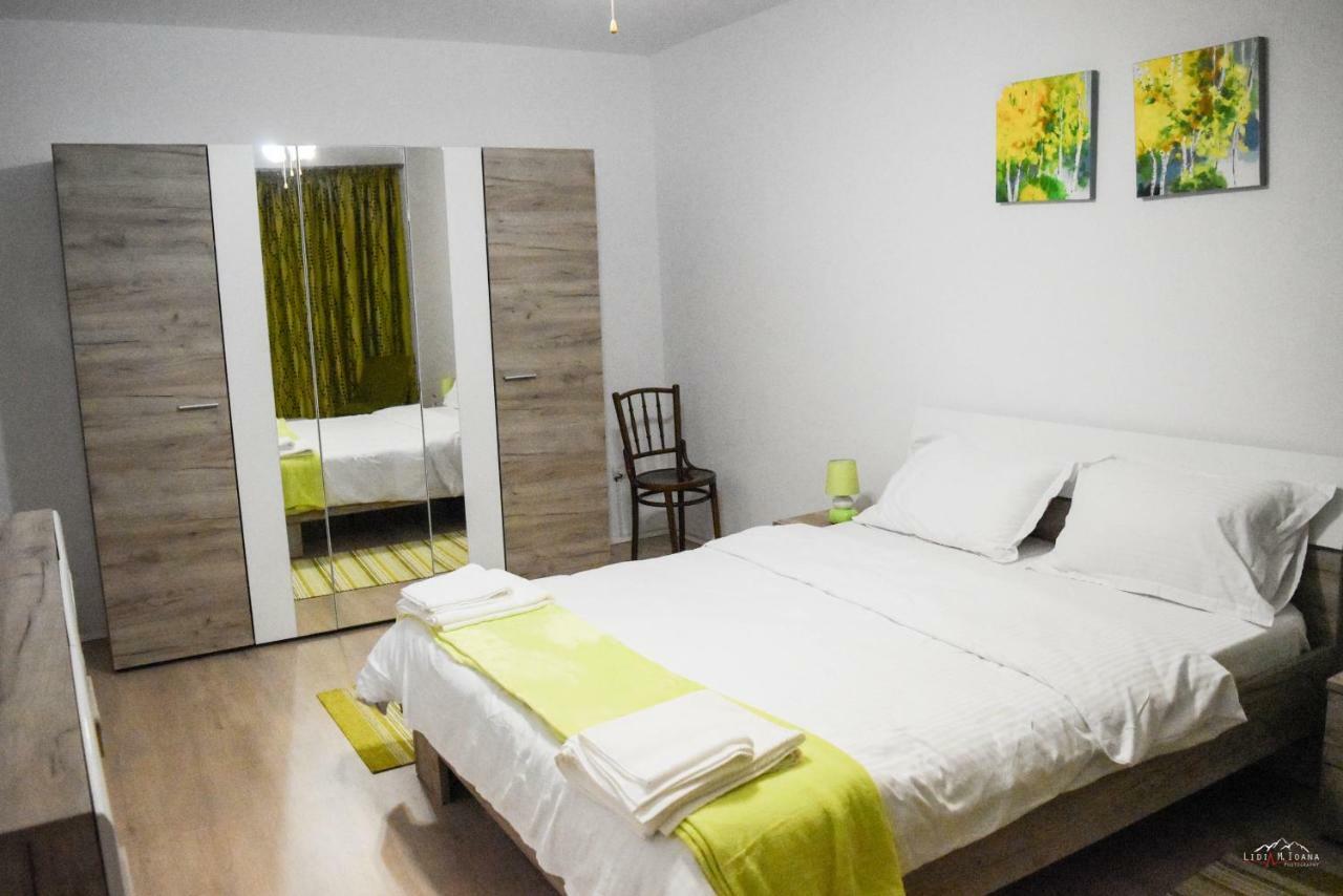 Spacious And Cozy 3Bd+Terrace Couples Apartment Timişoara Buitenkant foto