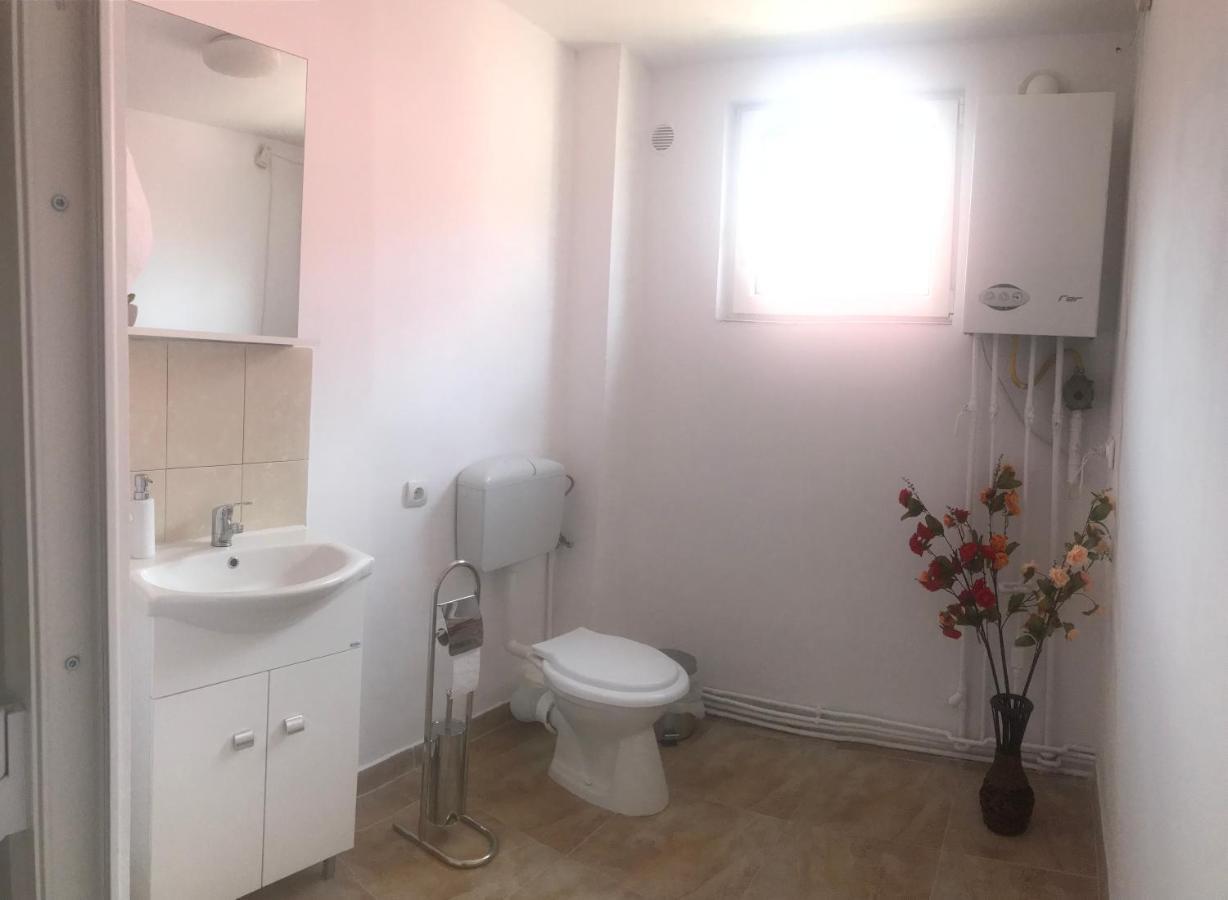 Spacious And Cozy 3Bd+Terrace Couples Apartment Timişoara Buitenkant foto